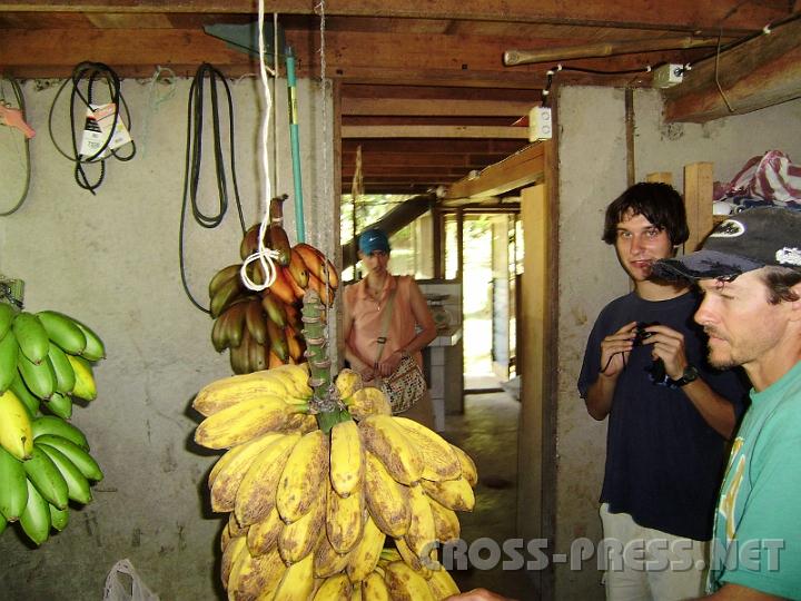 3-51.JPG - Einige verschiedene Bananensorten, die auch ganz unterschiedlich schmecken.