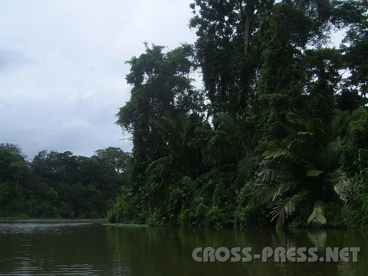 5-10 Tortuguero.JPG - Tortuguero