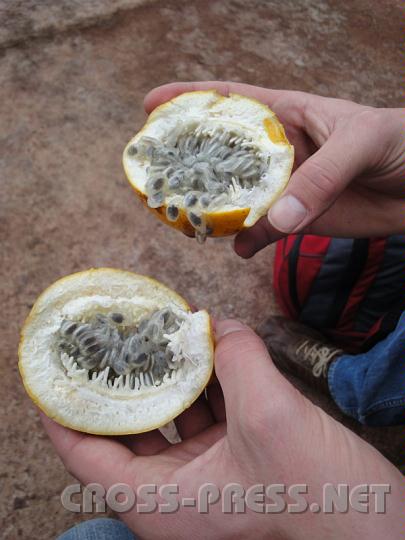 5-27.JPG - Granadilla