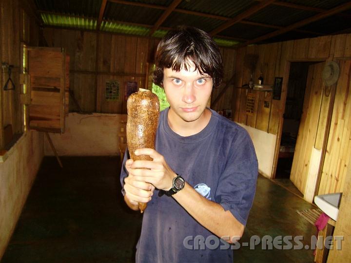 5-29.JPG - Maniok-Maniac :)