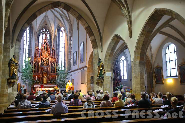 2014.06.18_19.28.21.jpg - Stadtpfarrkirche St. Stephan