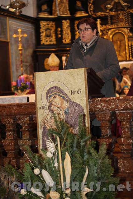 2016.11.29_10.12.06.JPG - 1. Lesung, LAbg. Michaela Hinterholzer