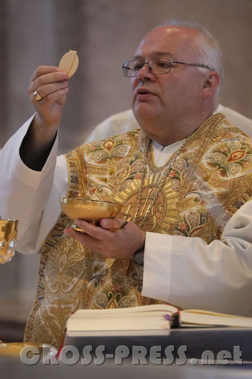 2017.06.11_10.19.08.jpg - Agnus Dei