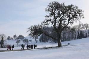 WinterWanderung der KMB Dekanat Haag