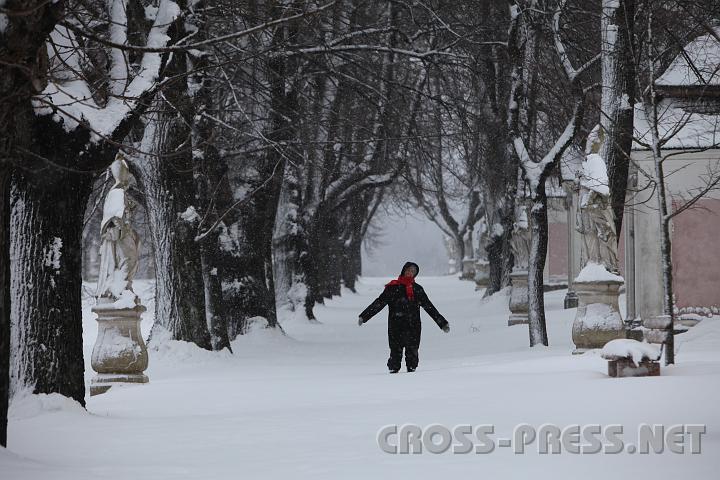 2009.02.17_13.24.58_01.JPG - ...richtiger Winter, �ber den sich nicht nur Kinder freuen!
