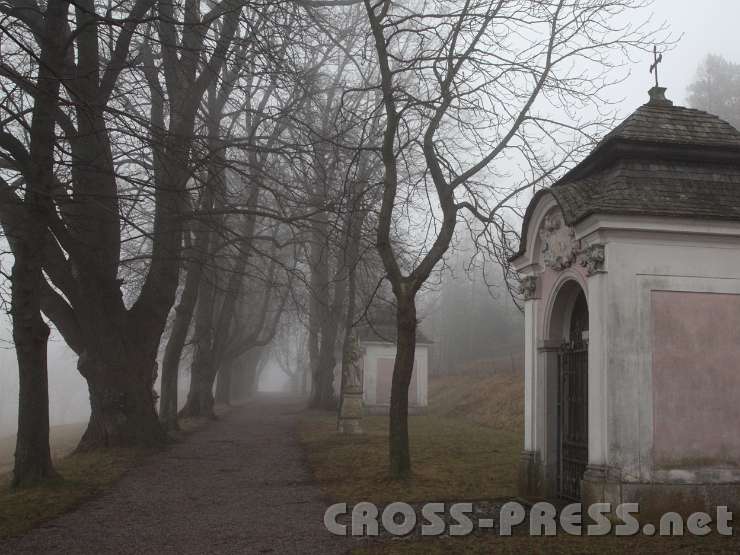 2014.01.18_15.10.33.01.jpg - ... Seltsam, im Nebel zu wandern!Leben ist Einsamsein.Kein Mensch kennt den andern,Jeder ist allein."