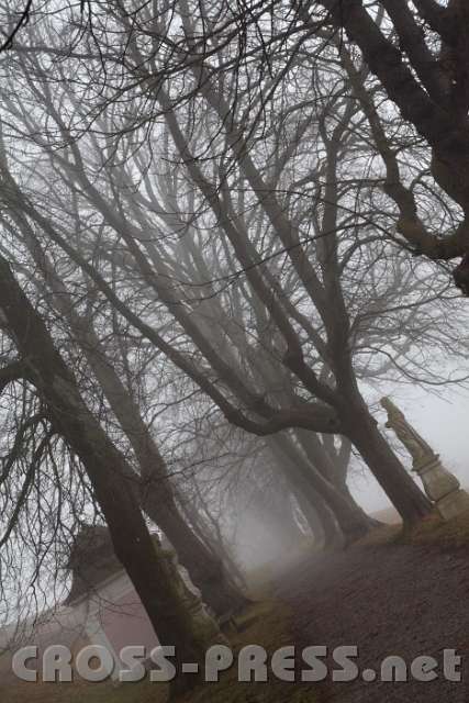 2014.01.18_15.19.32.jpg - Das Ende des Weges ist nicht zu erkennen - allein im Glauben haben wir Gewissheit.