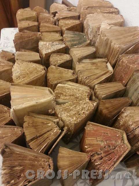 2015.08.13_10.20.49.jpg - ø;    À        ®ÿÿÿ   xV4xV4xV4xV4       ` *ÙA è                                          ýý                                                                                                                                                                                                                          C A L GDFE91Cur.GDFF0301800100150600260109AW_P010C027E027E0707ï 35 ë&       T U N A  ÐII °_     Î~ Êpÿÿh  ÇÿÿH mðÿÿö  ÿÿÏ   FLFL SVN#~                                                                                                                   ®    ÐNI I N  ÿAïÿ)                        x!                                                        (                                                 A_ ñÿ   A_ ñÿ   A_ ñÿ   A_ ñÿ                                                                                                                                                                                                                                                                                             & AFAF                                                                                                                                                                                                                                                      AFAF N GD J _AFAF                                                                                                                                                                                                                                                                                                                                        Þ°ô            X ¤x R¼ )Þ )Þ s s \&ºÆ³  6nH  H                                                                                                                                                                                                                                                                                                                                                                                                                                                                                                                                                                                                                                                                                                                                                                                                           J  L  N  P  ÎFßWðÞ¼ê+ 4 B0¸  @w·tÝ