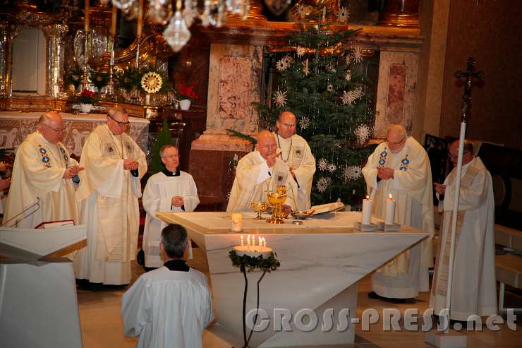 2016.01.29_19.21.56.JPG - Agnus Dei