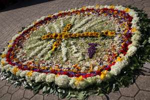 HeimatPrimiz von Christoph Hofstätter