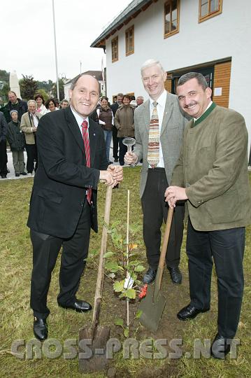 2008.09.21_11.51.12.JPG - Pflanzen eine "�sterreichische Mehlbeere" vor dem renovierten Pfarrheim: LR Mag. Wolfgang Sobotka, Pfarrkirchenrat Johann Geiblinger, der den Bau managte, und Bgm. Manfred Schimpl.