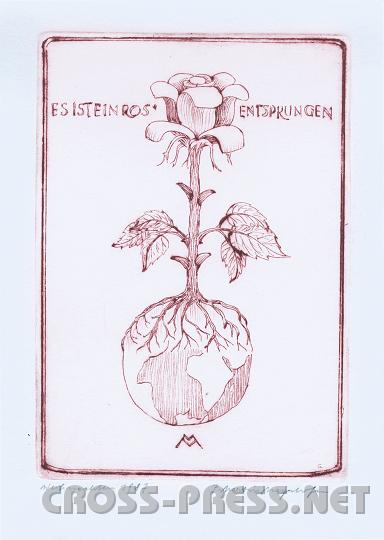 Es ist ein Ros entsprungen.jpg