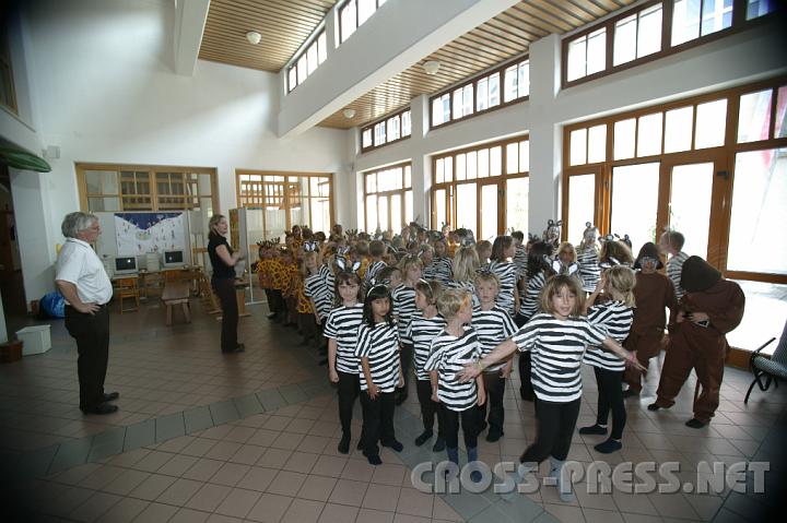 2008.06.12_16.22.07.JPG - In der VS St.Peter geht es wie im Dschungel zu ... und trotzdem ganz ordentlich.  :)