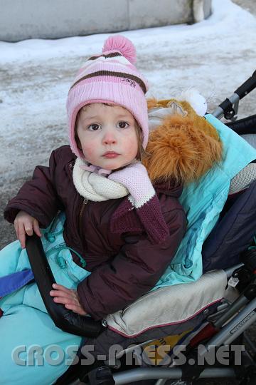 2010.02.16_14.23.40.jpg - L�wchen Eria hat gerade ihre M�hne abgelegt.  :)