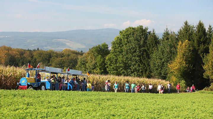 2011.09.25_15.30.57.jpg - Auf steileren Streckenabschnitten wusste man nicht genau, ob die Wanderer den Zug oder der Zug die Wanderer überholt.  ;)