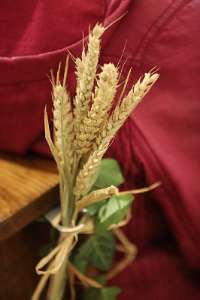 Neueröffnung der Pfarrkirche und Erntedankfest